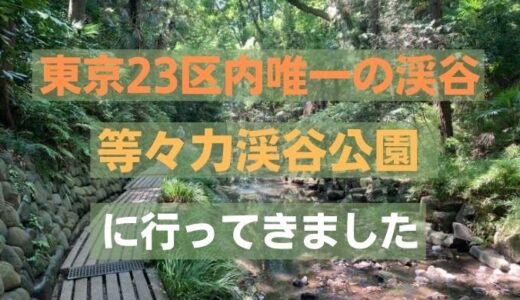 東京23区内唯一の渓谷「等々力渓谷公園」に行ってきました！