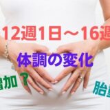 妊娠12週1日～16週0日の体調の変化