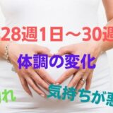 妊娠28週1日～30週の体調の変化