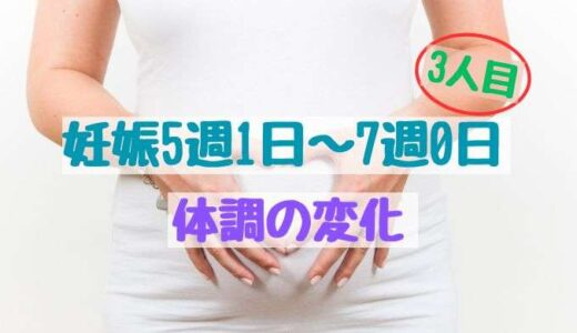 妊娠5週1日〜7週0日の体調の変化