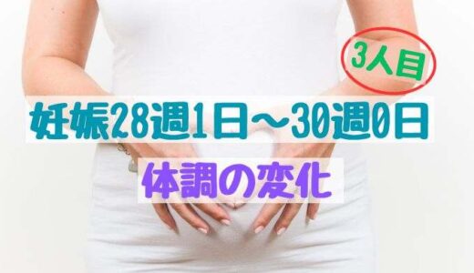 妊娠28週1日〜30週0日の体調の変化（3人目）