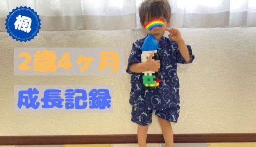 楓の2歳4ヶ月の成長記録