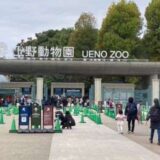 上野動物園に行って来ました！