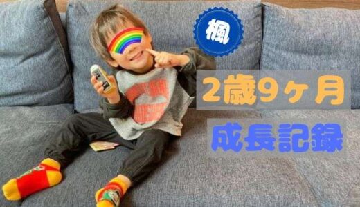 楓の2歳9ヶ月の成長記録