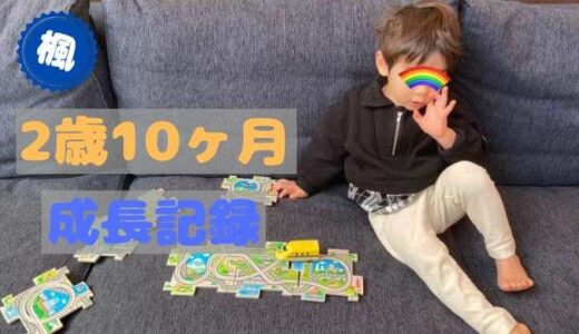 楓の2歳10ヶ月の成長記録