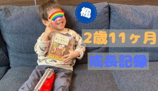 楓の2歳11ヶ月の成長記録