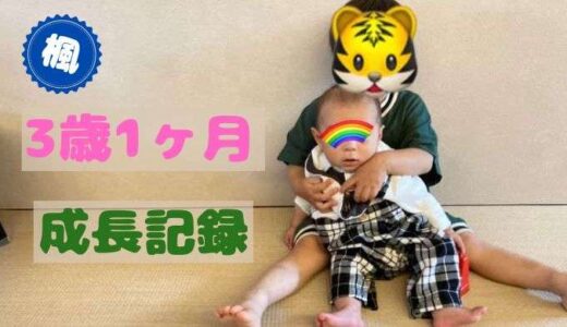 楓の3歳1ヶ月の成長記録
