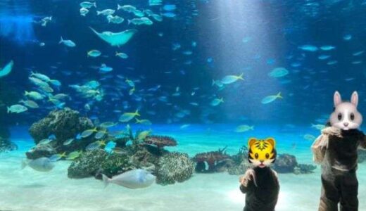 サンシャイン水族館に行って来ました！