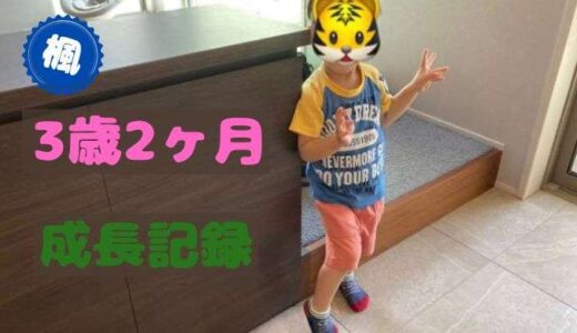 楓の3歳2ヶ月の成長記録