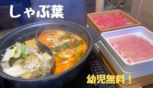 幼児無料のしゃぶ葉で、沢山食べてきました！