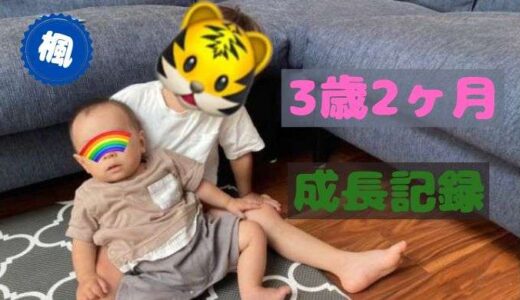 楓の3歳3ヶ月の成長記録