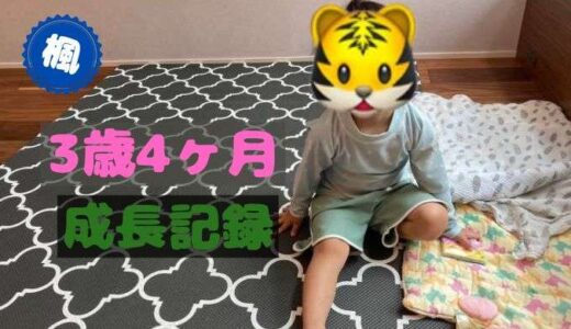 楓の3歳4ヶ月の成長記録