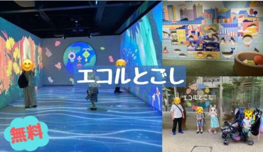 エコルとごしで環境を学ぶ