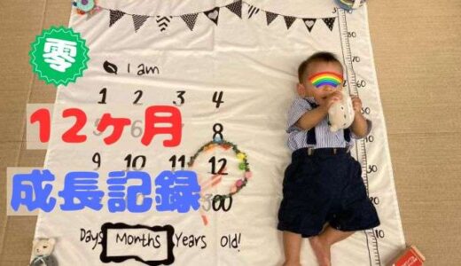 零の12ヶ月の成長記録