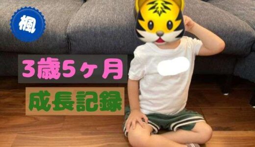 楓の3歳5ヶ月の成長記録