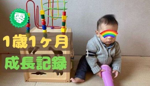 零の1歳1ヶ月の成長記録