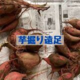 芋掘り遠足に行ってきました！