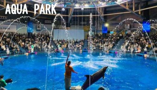 イルカショーに大興奮♡