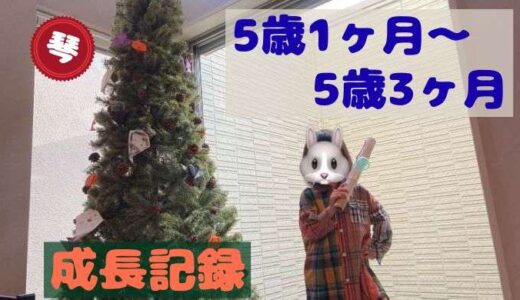琴の5歳1ヶ月〜3ヶ月の成長記録