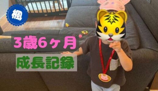 楓の3歳6ヶ月の成長記録