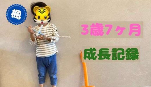 楓の3歳7ヶ月の成長記録