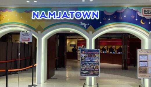 10数年ぶりのナンジャタウン