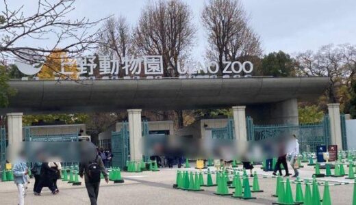 上野動物園に行きました
