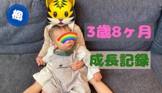 楓の3歳8ヶ月の成長記録