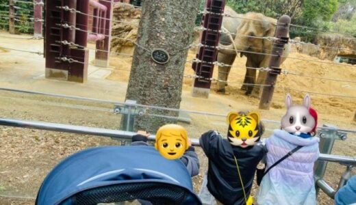 閉園時間まで楽しみました♡