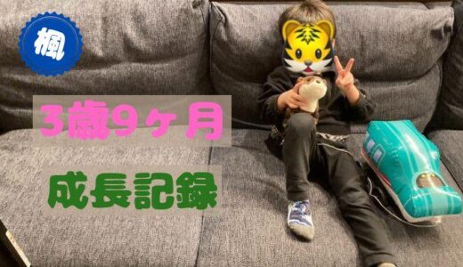 楓の3歳9ヶ月の成長記録