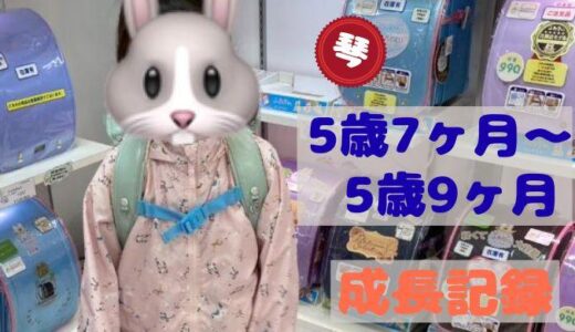 琴の5歳7ヶ月〜9ヶ月の成長記録