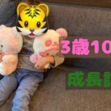 楓の3歳10ヶ月の成長記録