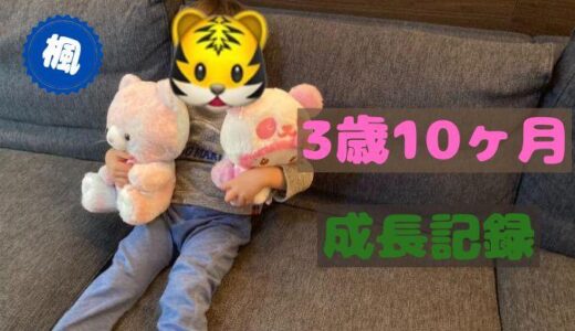 楓の3歳10ヶ月の成長記録