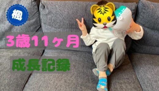 楓の3歳11ヶ月の成長記録