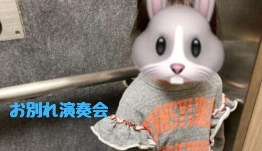 お別れ演奏会に出られない！？