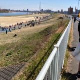 フルマラソン、走りたくなった？