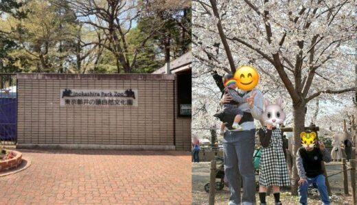 井の頭公園でお花見