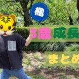 楓の成長記録〜3歳まとめ編〜
