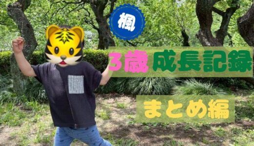楓の成長記録〜3歳まとめ編〜