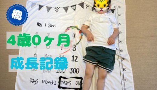 楓の4歳0ヶ月の成長記録