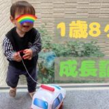 零の1歳8ヶ月の成長記録
