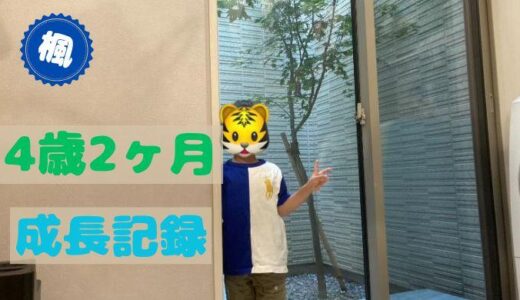 楓の4歳2ヶ月の成長記録