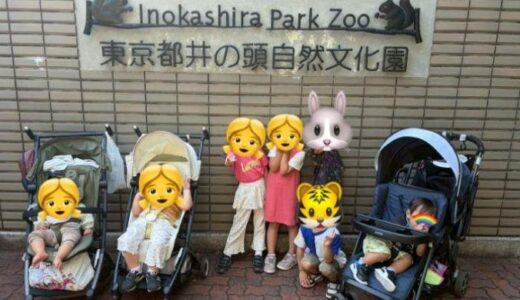 動物園に来たのに、動物を見ない！？
