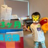 楓の4歳3ヶ月の成長記録