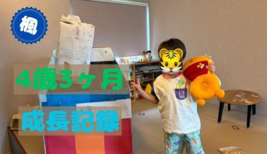 楓の4歳3ヶ月の成長記録