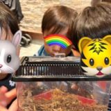 ドキドキのお泊まり保育