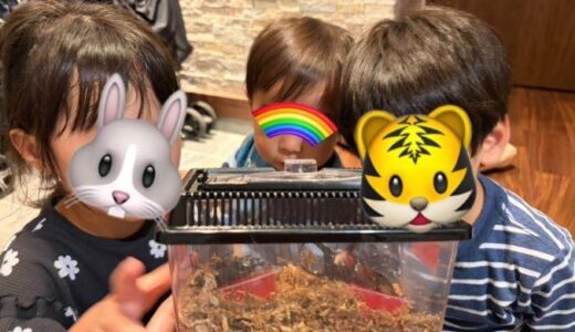 ドキドキのお泊まり保育
