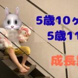 琴の5歳10ヶ月〜11ヶ月の成長記録
