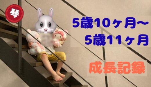 琴の5歳10ヶ月〜11ヶ月の成長記録