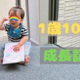 零の1歳10ヶ月の成長記録